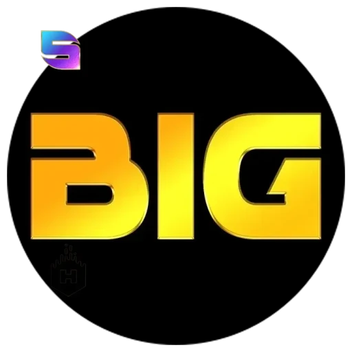 bighoki